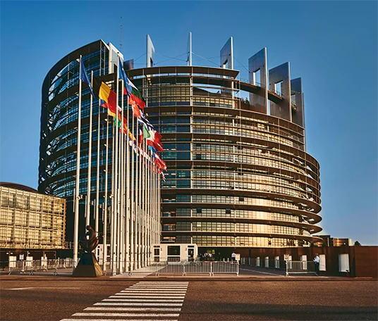 Il Parlamento europeo con le bandiere degli Stati membri