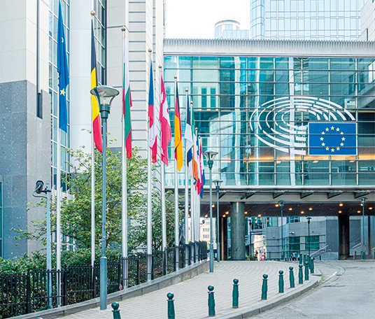 Le bandiere davanti al Parlamento europeo